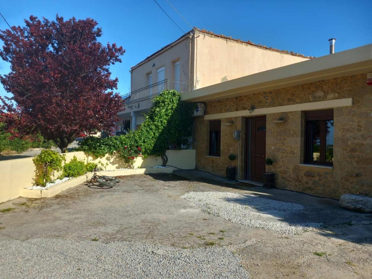 Vintage House
